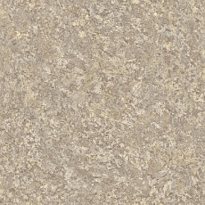 Линолеум Tarkett Sprint Pro DELIO 3 фото 1 | FLOORDEALER